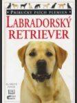 Labradorský retriever - náhled