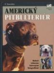 Americký pitbulteriér - náhled