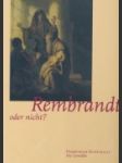 Rembrandt, oder nicht? I. - náhled