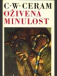 Oživená minulost - náhled