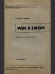 Pán v sivom - náhled