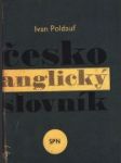 Česko-anglický slovník středního rozsahu - náhled