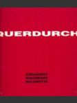Querdurch súčasného rakúskeho maliarstva - náhled