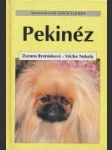 Pekinéz - náhled