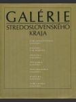 Galérie Stredoslovenského kraja - náhled