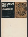 Anatomický atlas bramboru - náhled