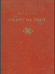 Chlapec na terase - náhled