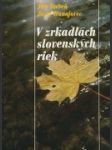 V zrkadlách slovenských riek - náhled