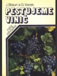 Pestujeme vinič - náhled