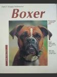 Boxer - náhled