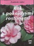 Rok s pokojovými rostlinami - náhled