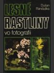 Lesné rastliny vo fotografii - náhled