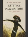 Estetika pragmatizmu - náhled