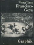 Francisco Goya - náhled