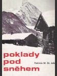 Poklady pod sněhem - náhled