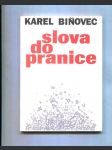 Slova do pranice - náhled