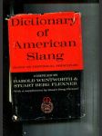 Dictionary Of American Slang - náhled