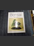 Bonsai - náhled