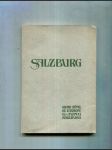 Salzburg (Führer durch die Landeshauptstadt und umgebung) - náhled