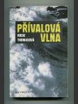 Přívalová vlna - náhled