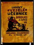 Ladovy veselé učebnice. Brouci a hmyz III. - náhled