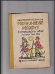 Podivuhodné příběhy ševcovského učně (Povídka pro děti) - náhled