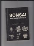 Bonsai miniaturní strom v misce - náhled