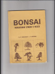 Bonsai (Miniaturní strom v misce) - náhled