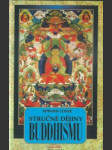 Stručné dějiny buddhismu - náhled