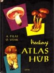Vreckový atlas húb - náhled