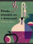 Výroba ovocných vín v domácnosti - náhled