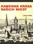 Kamenná krása našich miest - náhled