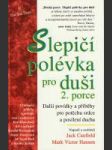 Slepičí polévka pro duši 2. porce - náhled