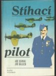 Stíhací pilot - náhled