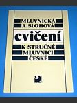 Mluvnická a slohová cvičení k stručné mluvnici české - náhled