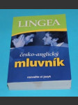 Česko-anglický mluvník - náhled