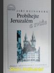 Probíhejte jeruzalém a sviťte - reinsberg jiří - náhled