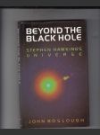 Beyond the Black Hole (Stephen Hawking Universe) - náhled