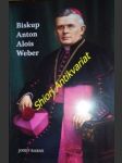 Biskup anton alois weber - rabas josef - náhled
