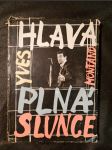 Hlava plná slunce - náhled