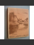 Mezi Labem a Orlicí [východní Čechy - kraj Hradec Králové - historický a hospodářský vývoj, stavební i umělecké památky, přírodní bohatství Královéhradeckého kraje ] - náhled