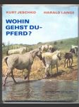 Wohin gehst du - pferd? - náhled