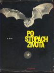 Po stopách života - náhled