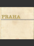 Praha - náhled