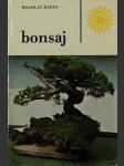 Bonsaj - náhled