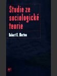 Studie ze sociologické teorie - náhled