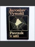 Pavouk v síti  - náhled