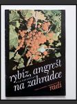 Rybíz, angrešt na zahrádce  - náhled