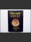 Slovník cizích slov pro nové století - náhled