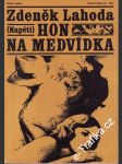 Hon na medvídka - náhled